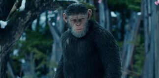 la planete des singes le nouveau royaume cesar