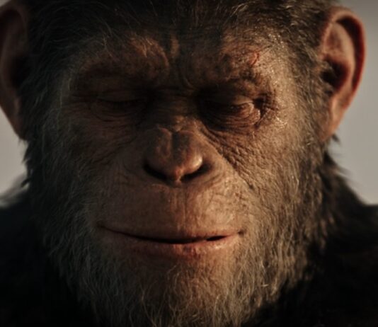 la planete des singes trilogie resume