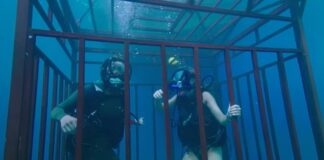 47 meters down fin