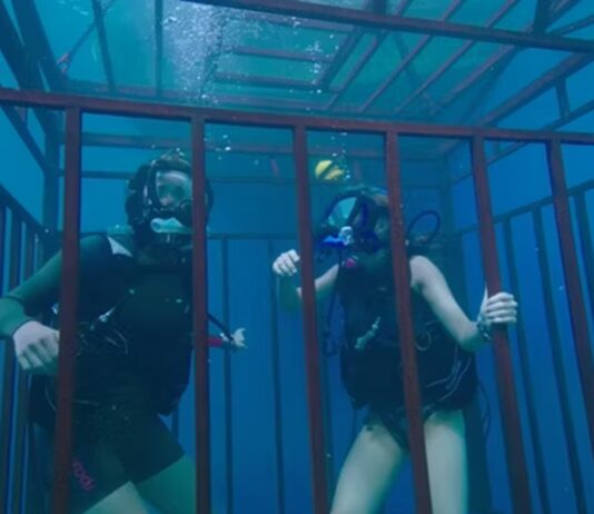 47 meters down fin