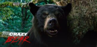crazy bear 2