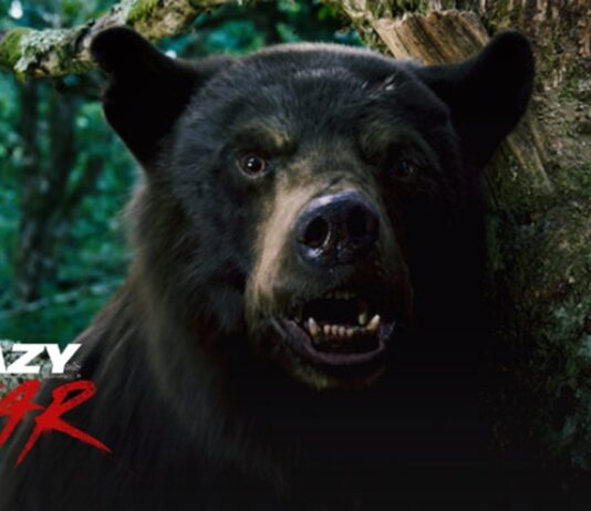 crazy bear 2