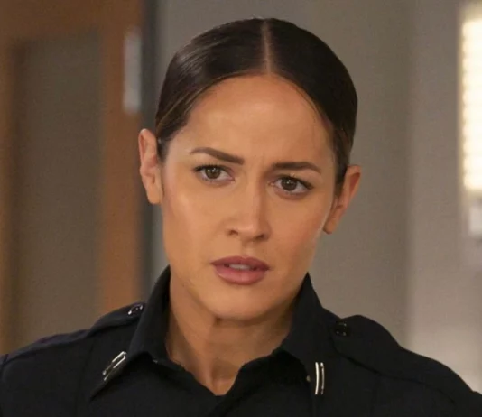 Station 19 Saison 8 : Quelle date de sortie ? station 19 saison 8