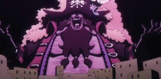 one piece episode 1114