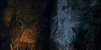 vhagar vermithor