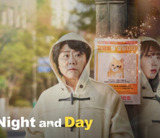 miss night and day saison 2 netflix