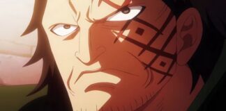 one piece episode 1117