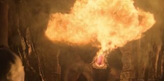 qui est songefeu