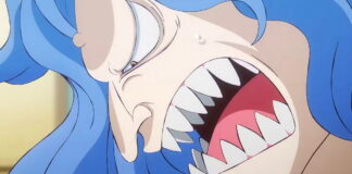 one piece episode 1119
