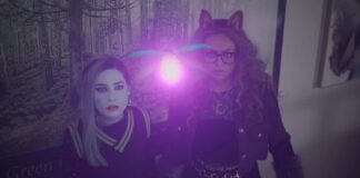 monster high 2 fin