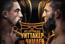 whittaker chimaev streaming