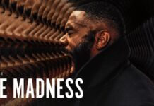 the madness saison 2 netflix