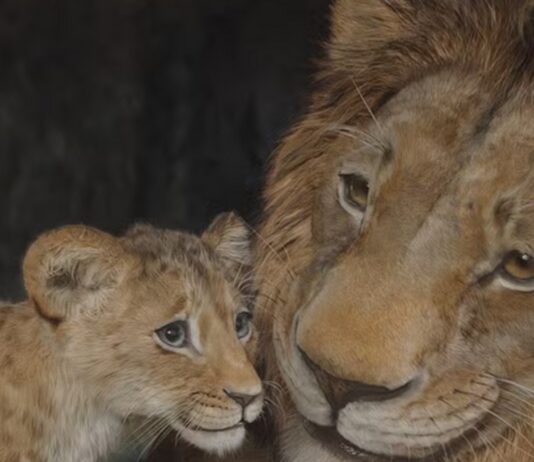 milele mufasa
