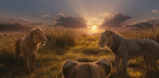 mufasa le roi lion age