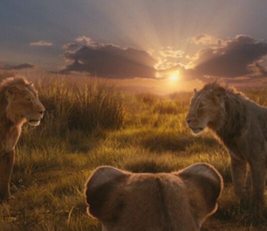 mufasa le roi lion age