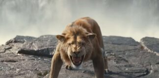 mufasa le roi lion netflix