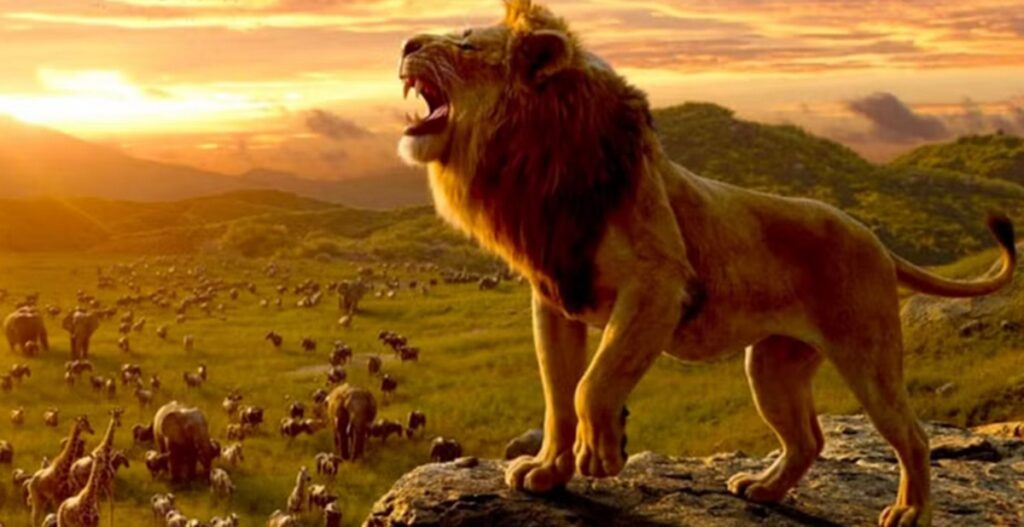 mufasa le roi lion streaming