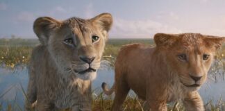 mufasa suite