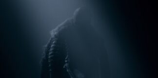 nosferatu age