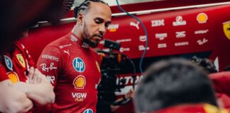 formula 1 saison 8