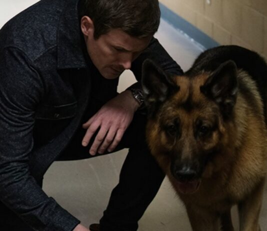 hudson et rex saison 7