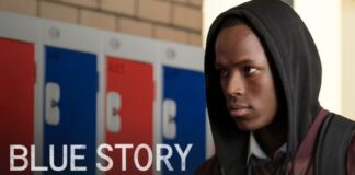 blue story suite
