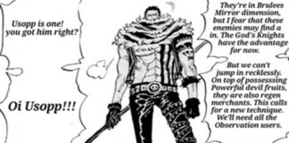 one piece 1148 spoilers