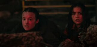 the last of us saison 2 episode 5 fin