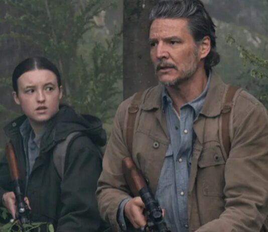 the last of us saison 2 episode 6 fin