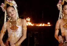lisa the white lotus salaire