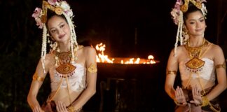lisa the white lotus salaire