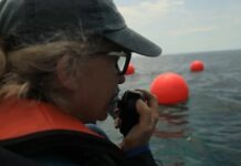 wendy rush aujourdhui