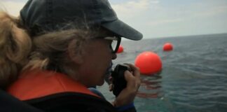 wendy rush aujourdhui