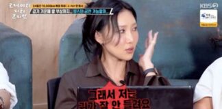 hwasa oreille
