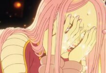 one piece episode 1137