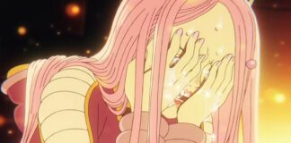 one piece episode 1137