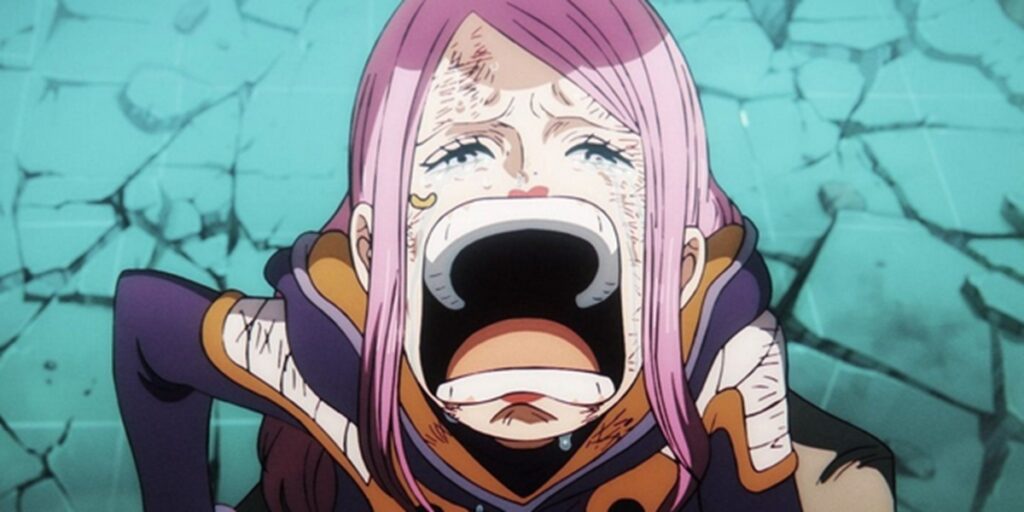 one piece episode 1138