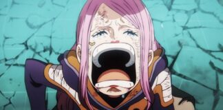 one piece episode 1138