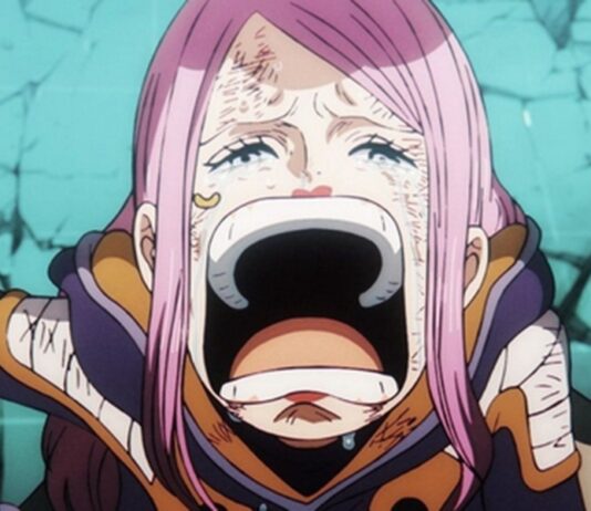 one piece episode 1138