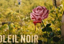 soleil noir series similaires