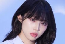 transgenre ryujin cherry