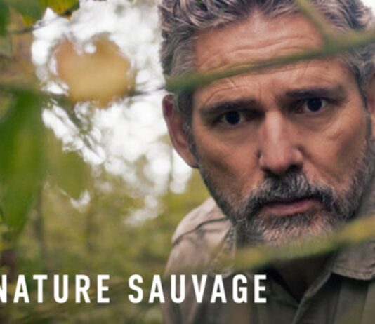 Une Nature Sauvage Saison 2 : Quelle date de sortie Netflix ? une nature sauvage saison 2