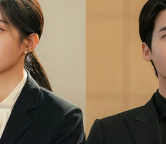 law and the city saison 2