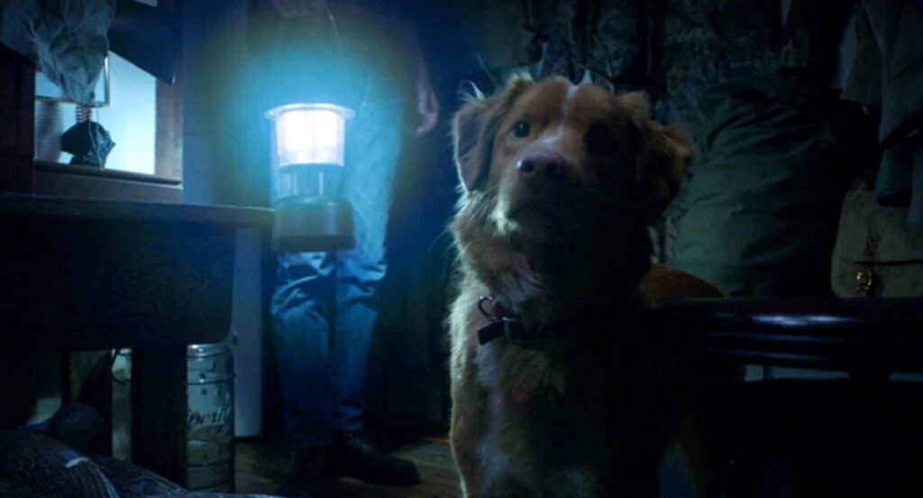 le chien meurt dans good boy
