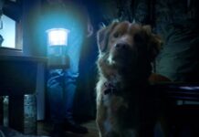 le chien meurt dans good boy