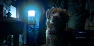 le chien meurt dans good boy