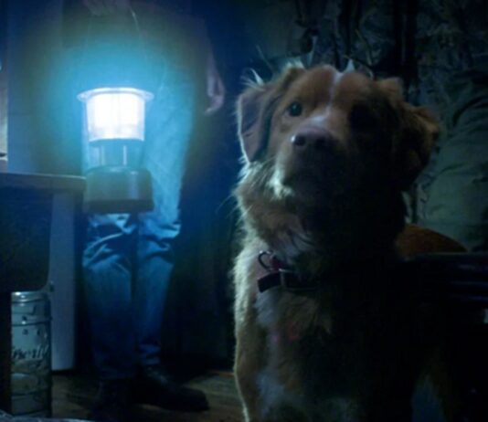 le chien meurt dans good boy