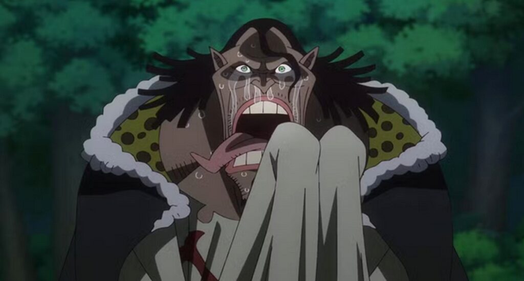 one piece episode 1142