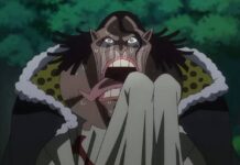 one piece episode 1142