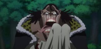 one piece episode 1142